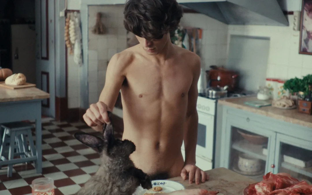 Filmovi međunarodnog natjecanja Tabor New Frame Film Festivala
